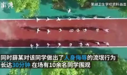 成人靠逼视频,内容、影响与反思